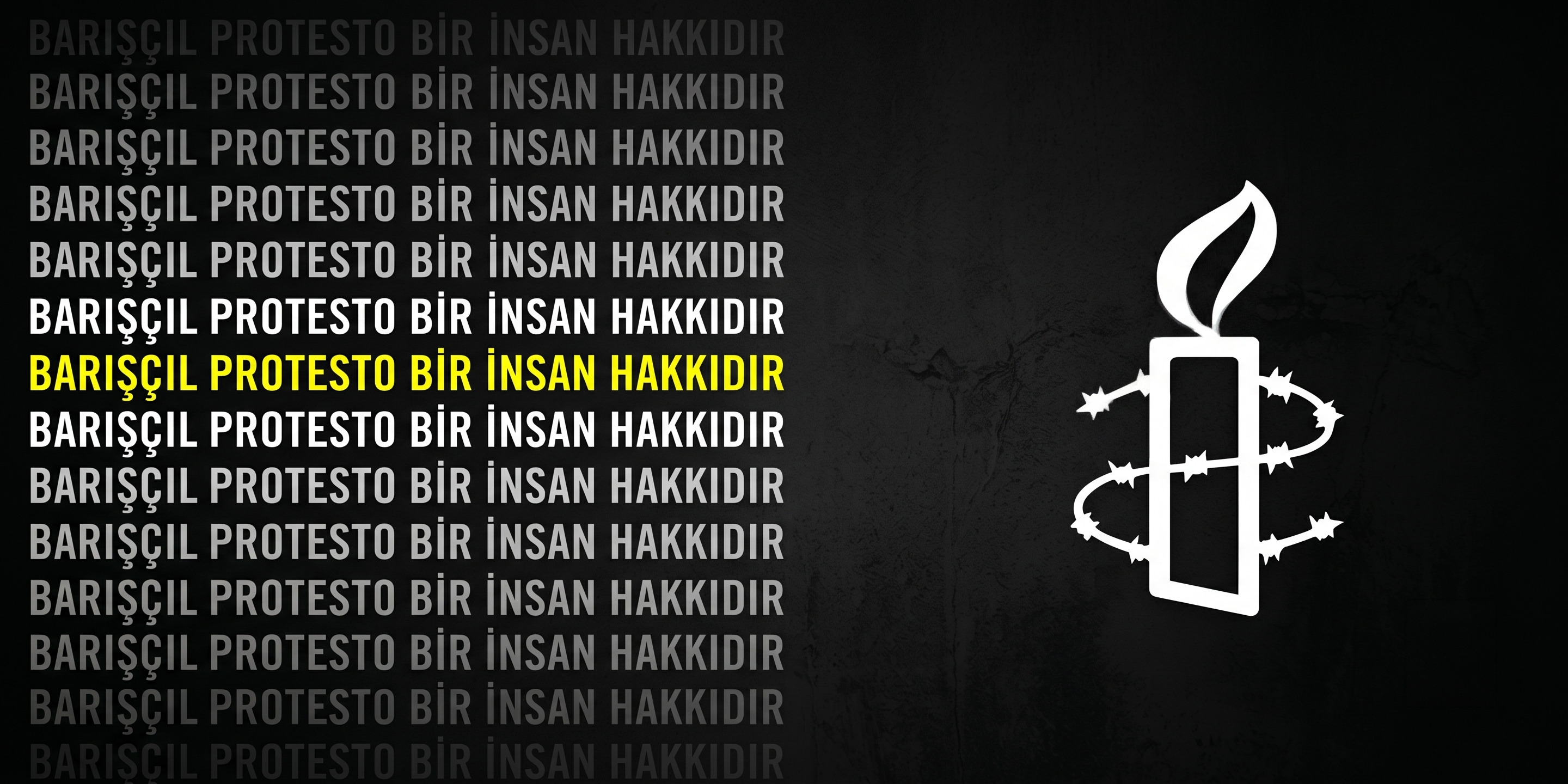 Barışçıl Protesto Bir İnsan Hakkıdır!